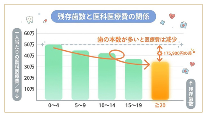 歯と健康の関係①