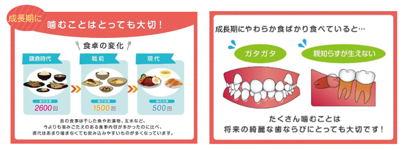 噛む食事で顎の発育促進